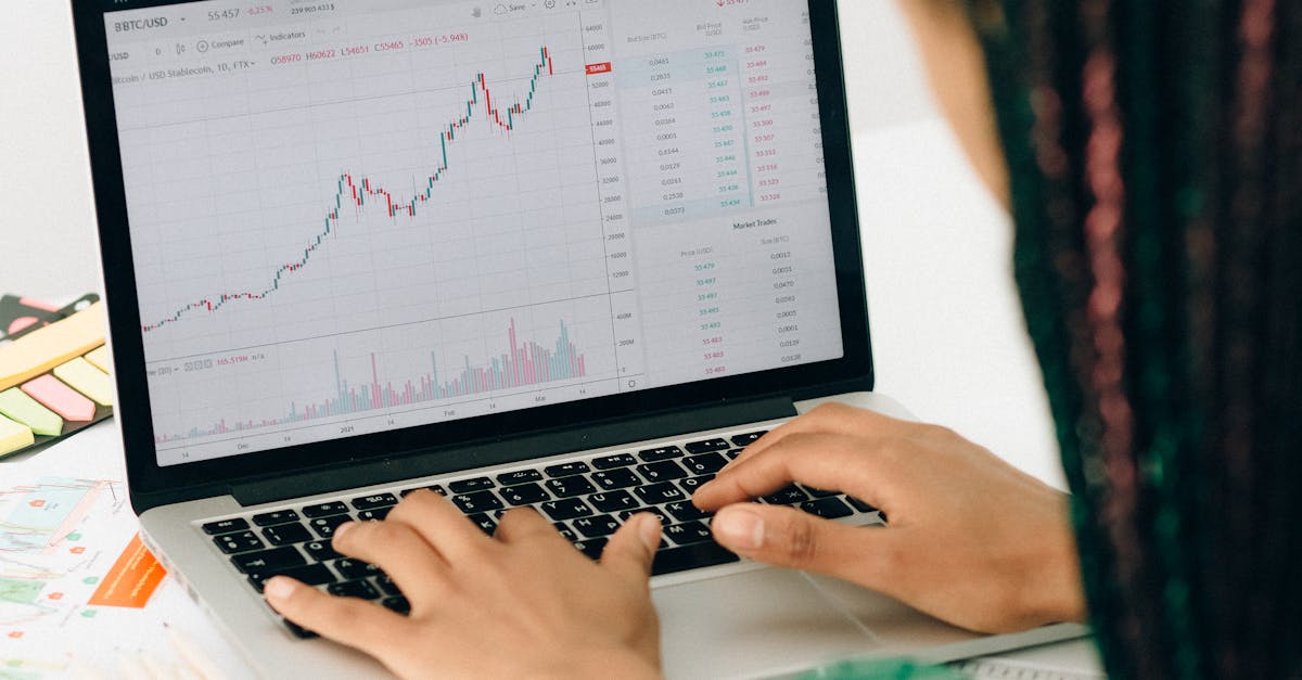 how to quickly.unfollow everyone on x ormbuddy.com